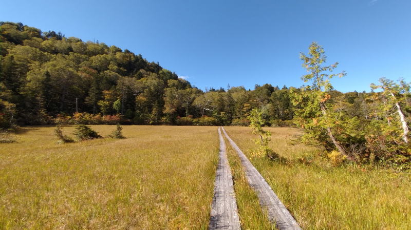 f:id:Aoituki:20210926234641j:plain