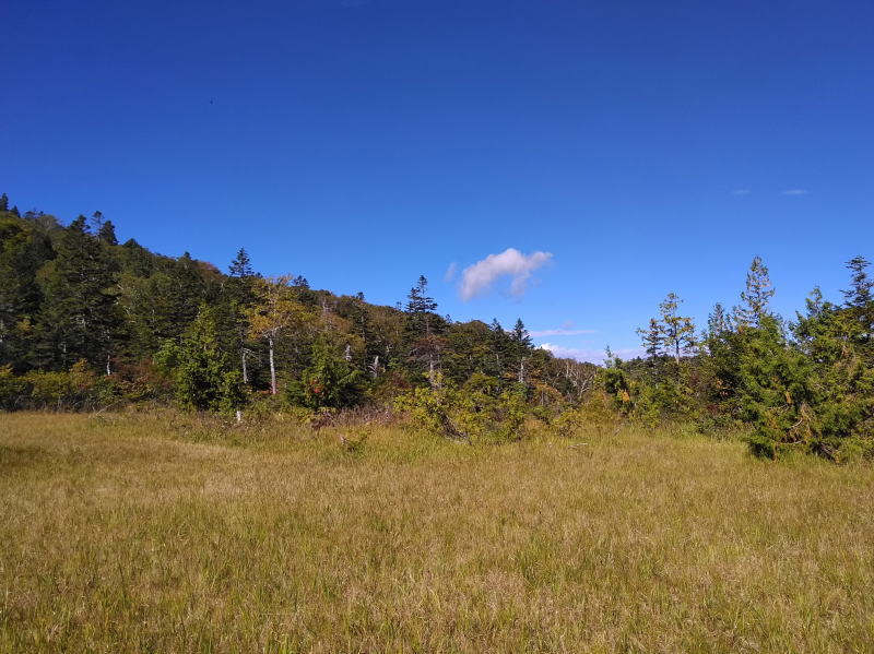 f:id:Aoituki:20210926234650j:plain