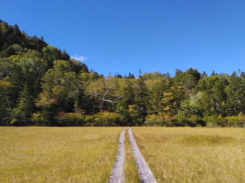 f:id:Aoituki:20210926234701j:plain