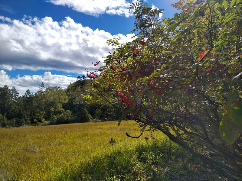 f:id:Aoituki:20210926234711j:plain