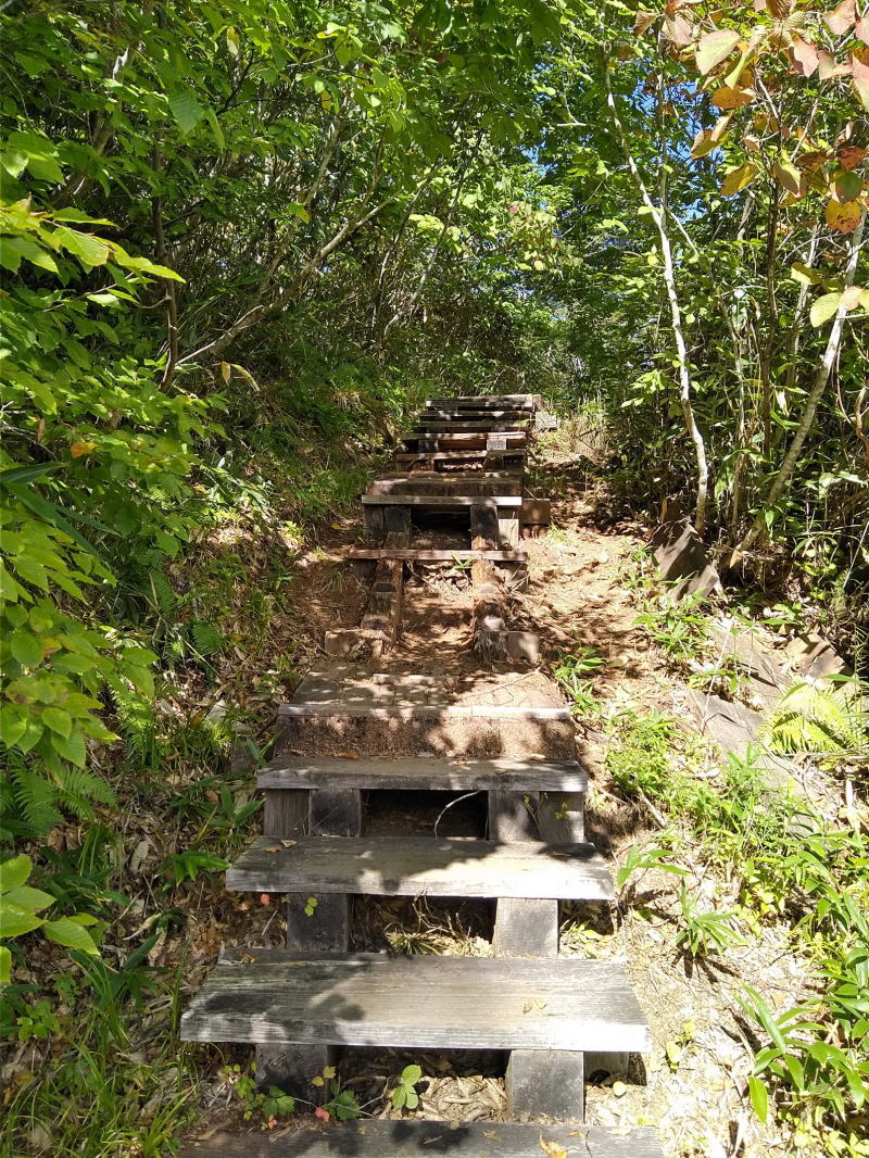 f:id:Aoituki:20210926234730j:plain