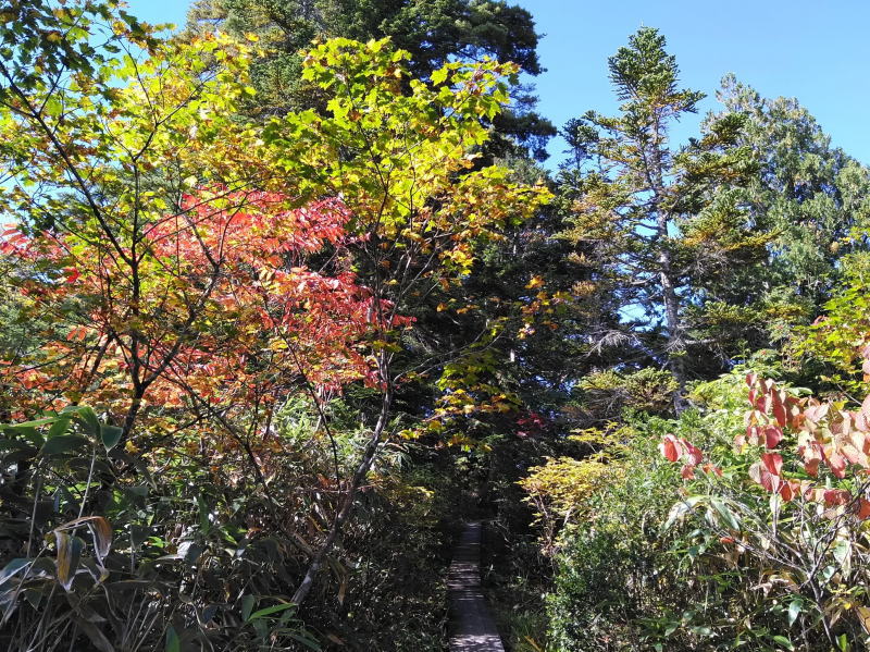 f:id:Aoituki:20210926234740j:plain