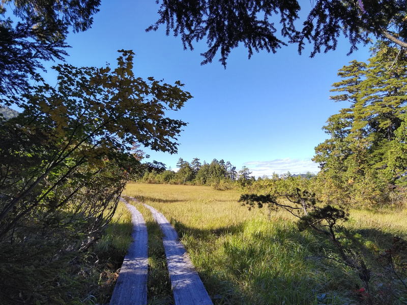 f:id:Aoituki:20210926234759j:plain