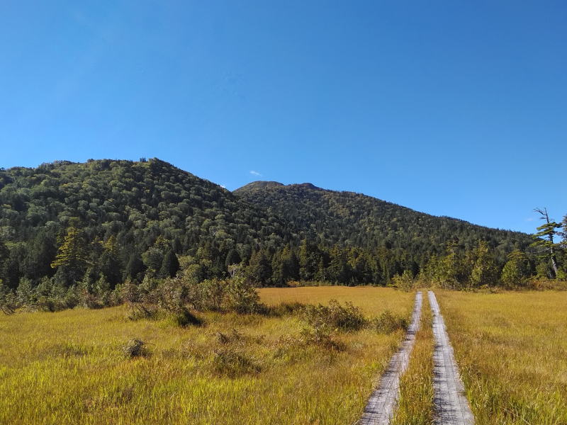 f:id:Aoituki:20210926234820j:plain