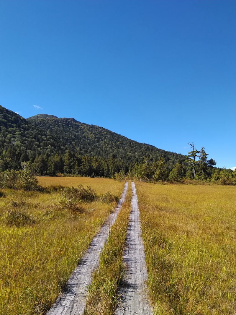 f:id:Aoituki:20210926234833j:plain