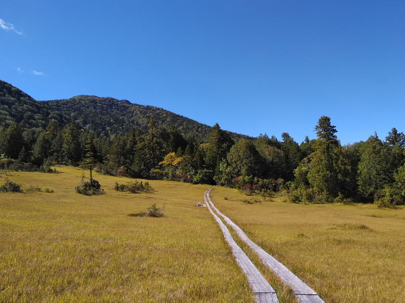 f:id:Aoituki:20210926234854j:plain