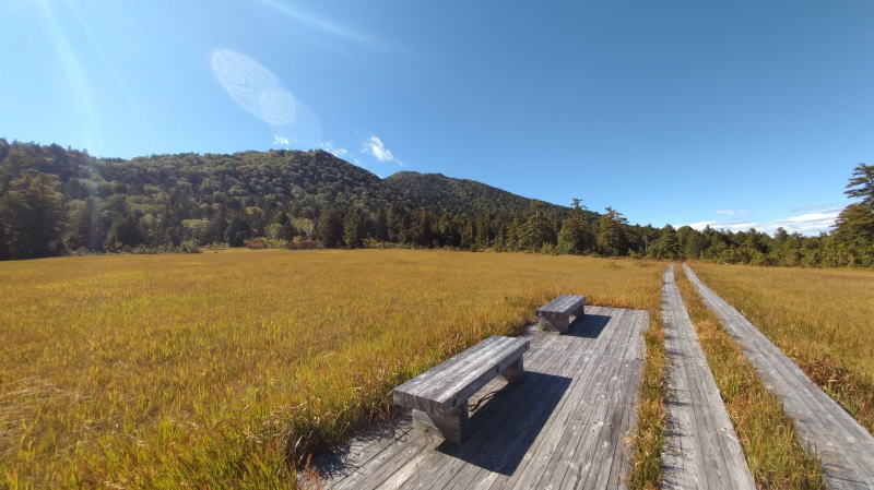 f:id:Aoituki:20210926234905j:plain