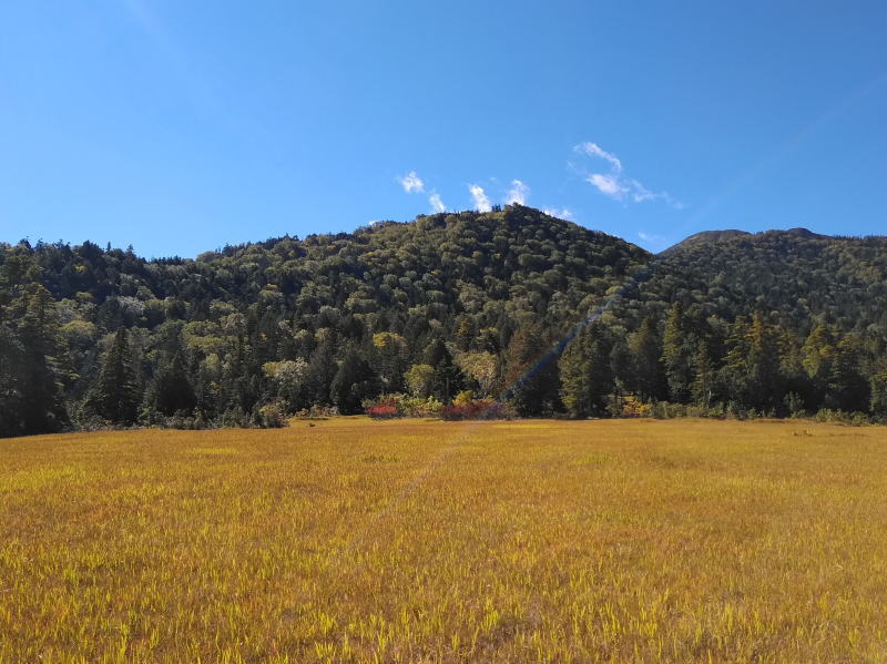 f:id:Aoituki:20210926234920j:plain