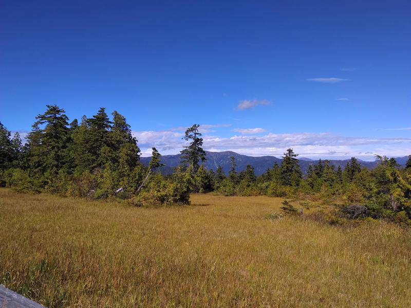 f:id:Aoituki:20210926234934j:plain