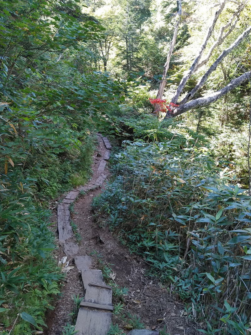 f:id:Aoituki:20210926235006j:plain