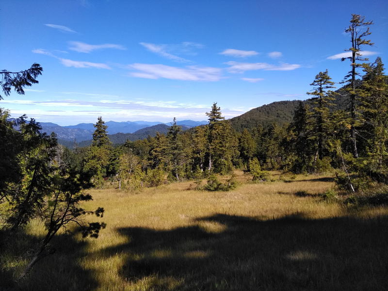 f:id:Aoituki:20210926235031j:plain