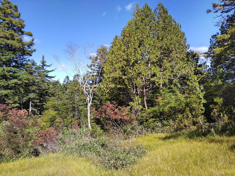 f:id:Aoituki:20210926235042j:plain