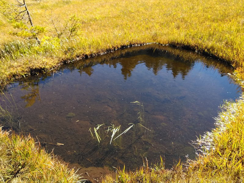 f:id:Aoituki:20210926235109j:plain