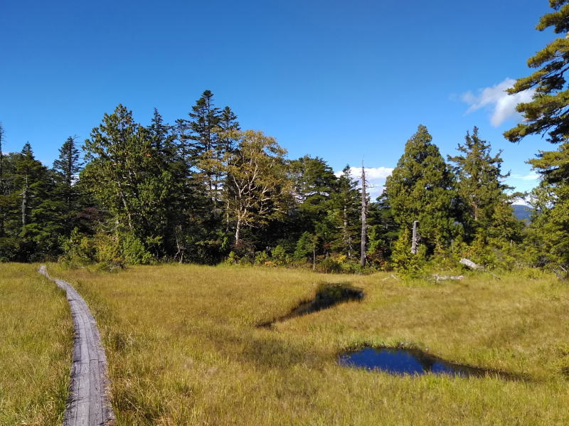 f:id:Aoituki:20210926235121j:plain