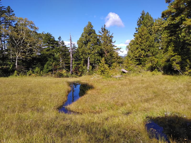 f:id:Aoituki:20210926235132j:plain