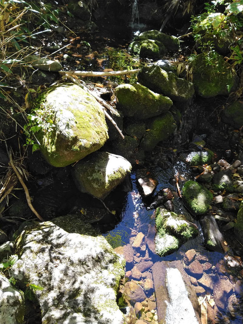 f:id:Aoituki:20210926235144j:plain