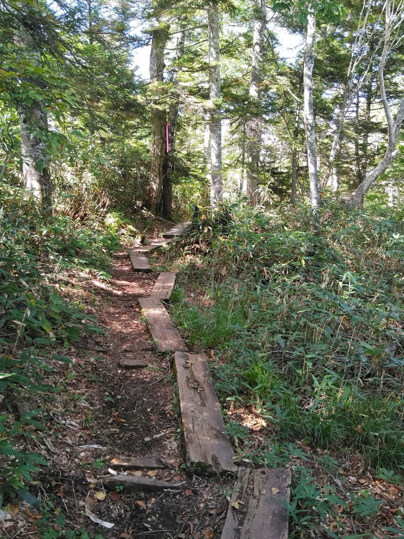 f:id:Aoituki:20210926235220j:plain