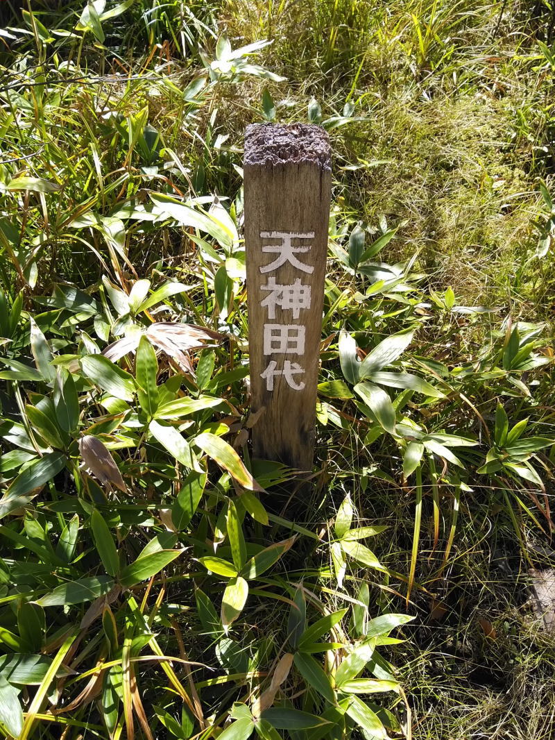 f:id:Aoituki:20210926235234j:plain