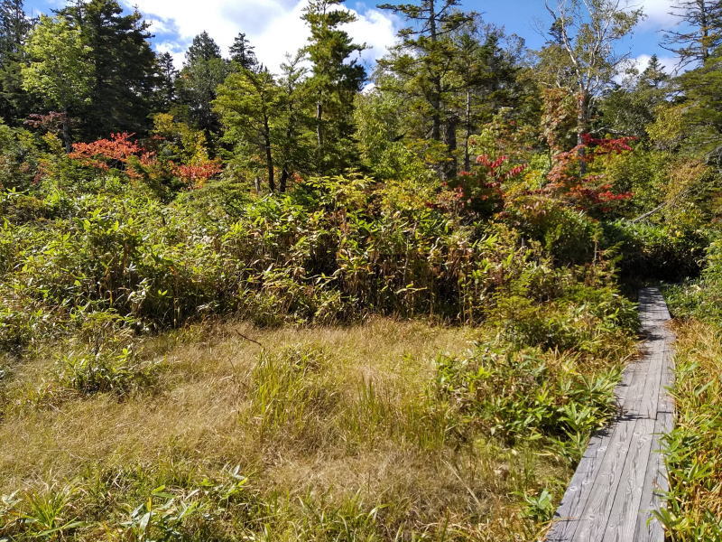 f:id:Aoituki:20210926235246j:plain