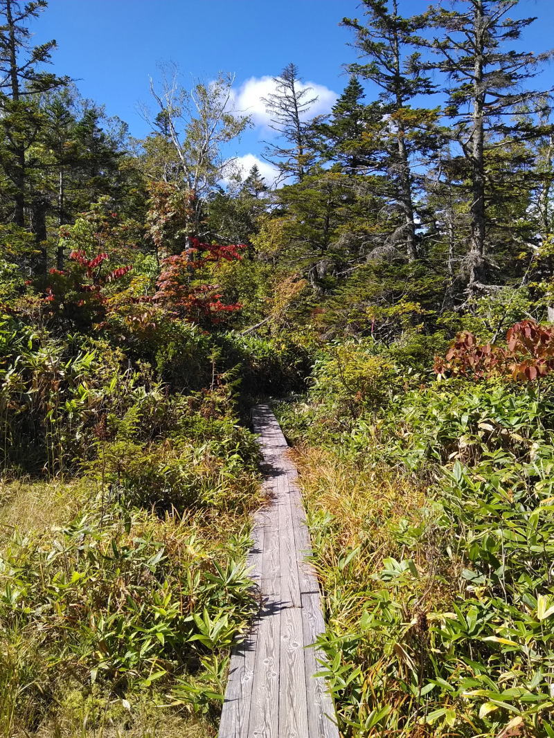 f:id:Aoituki:20210926235300j:plain