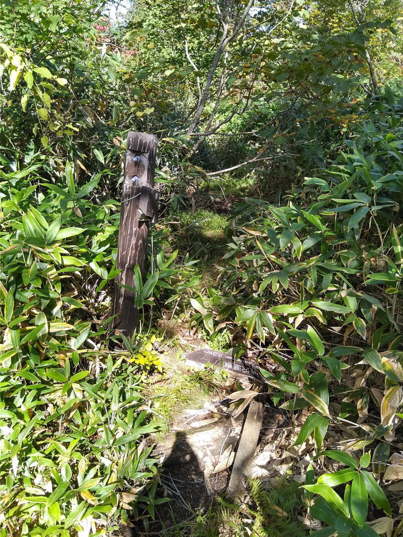 f:id:Aoituki:20210926235316j:plain