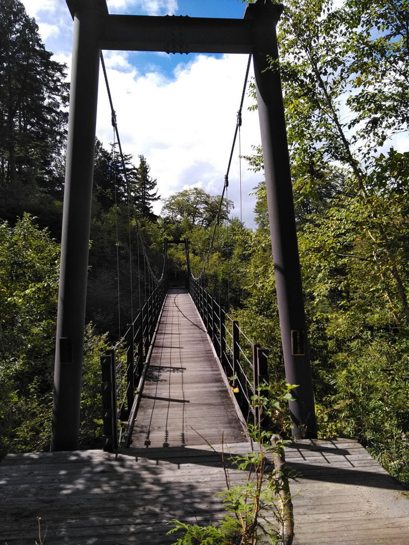 f:id:Aoituki:20210926235328j:plain