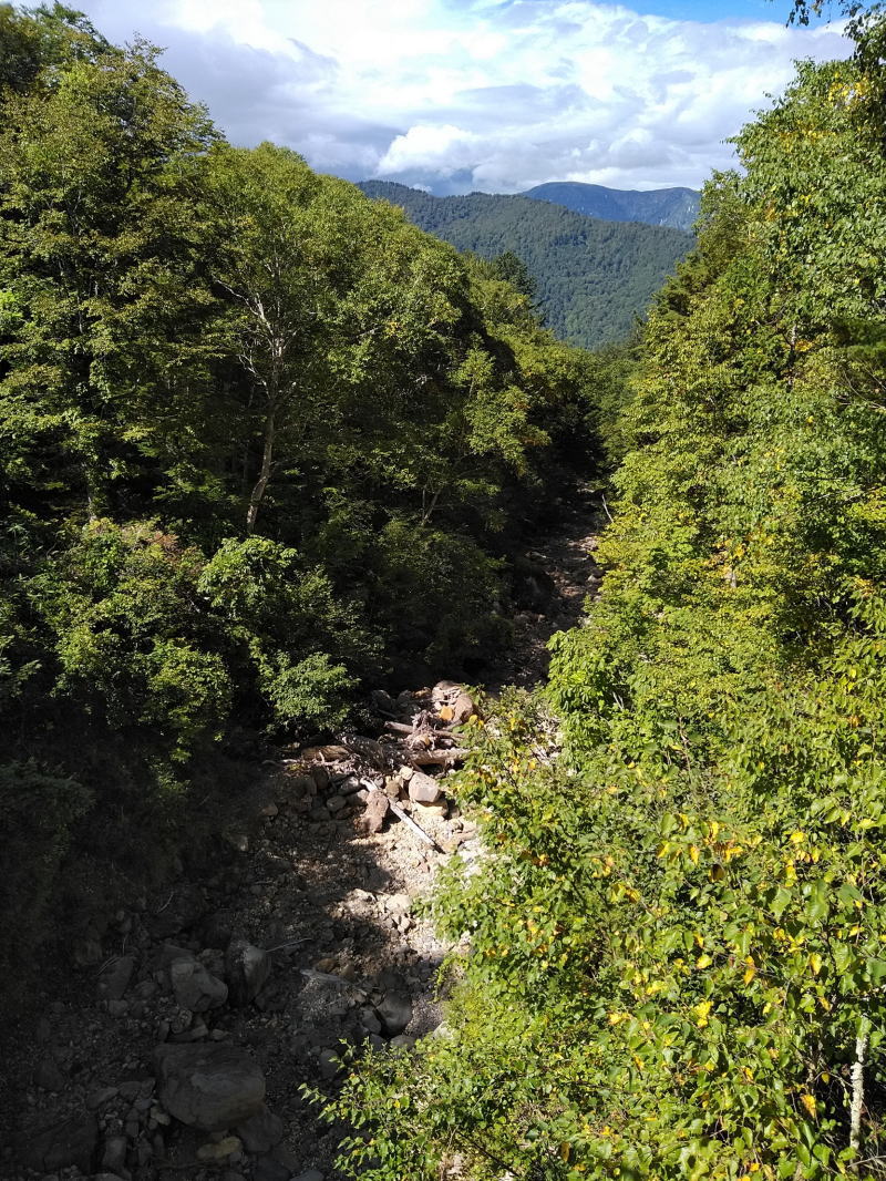 f:id:Aoituki:20210926235342j:plain