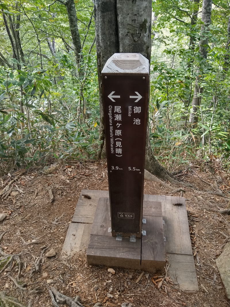 f:id:Aoituki:20210926235354j:plain