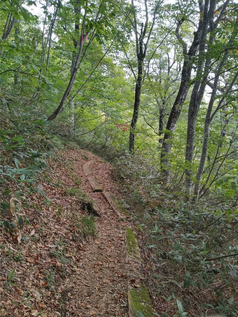 f:id:Aoituki:20210926235407j:plain