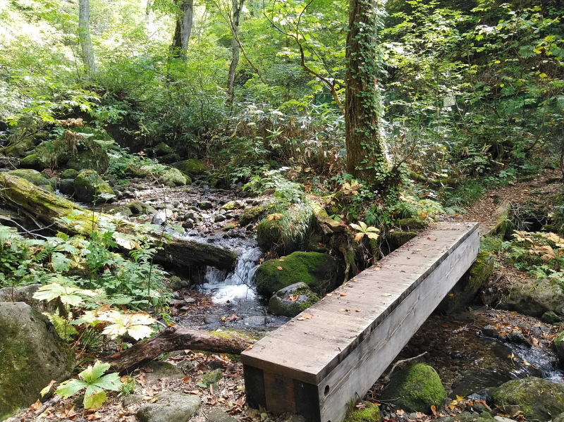 f:id:Aoituki:20210926235420j:plain