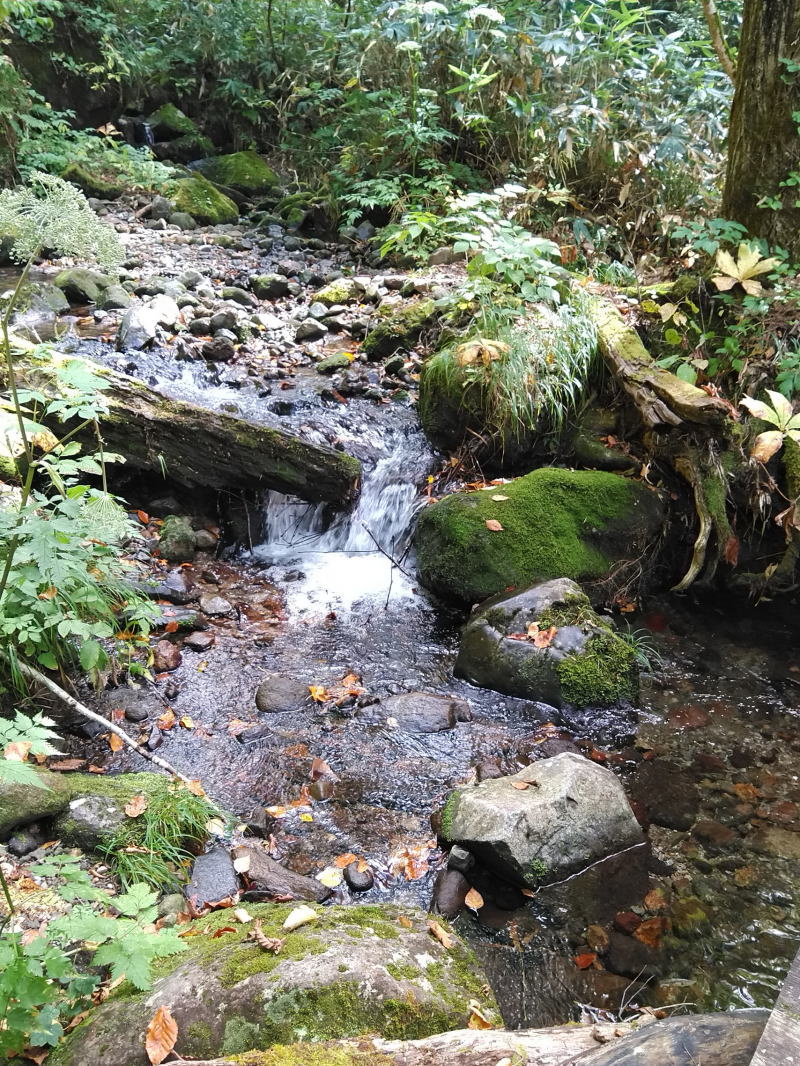 f:id:Aoituki:20210926235433j:plain