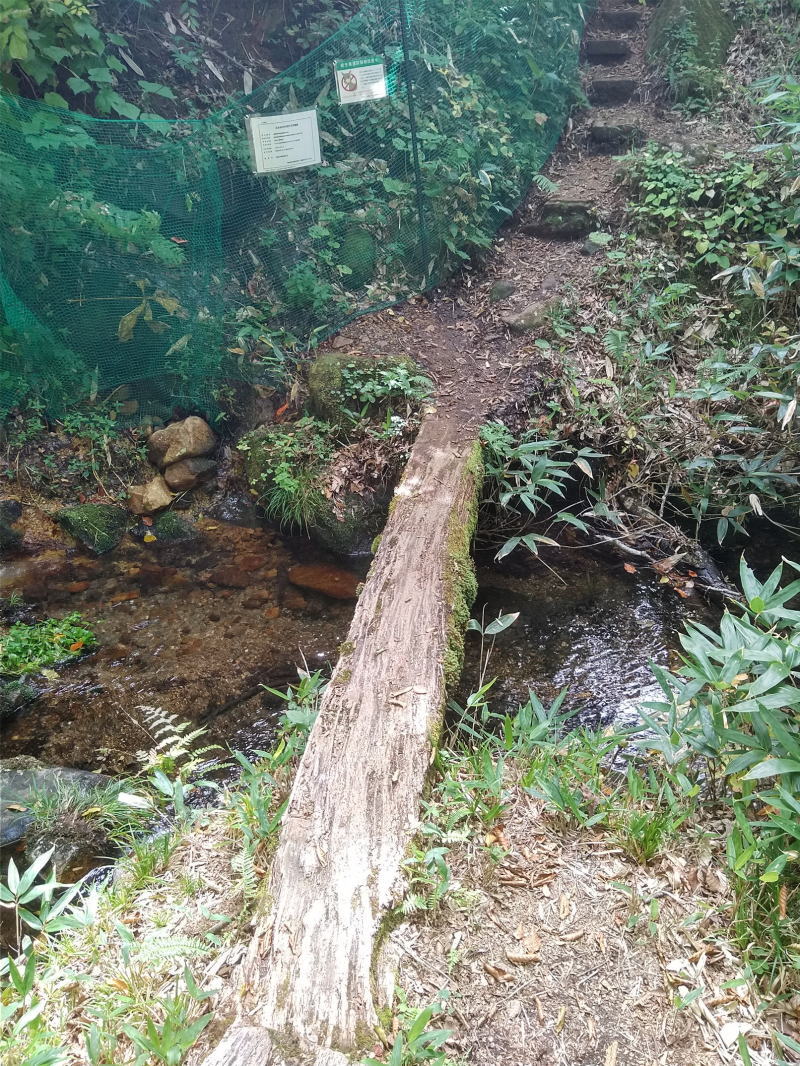 f:id:Aoituki:20210926235451j:plain