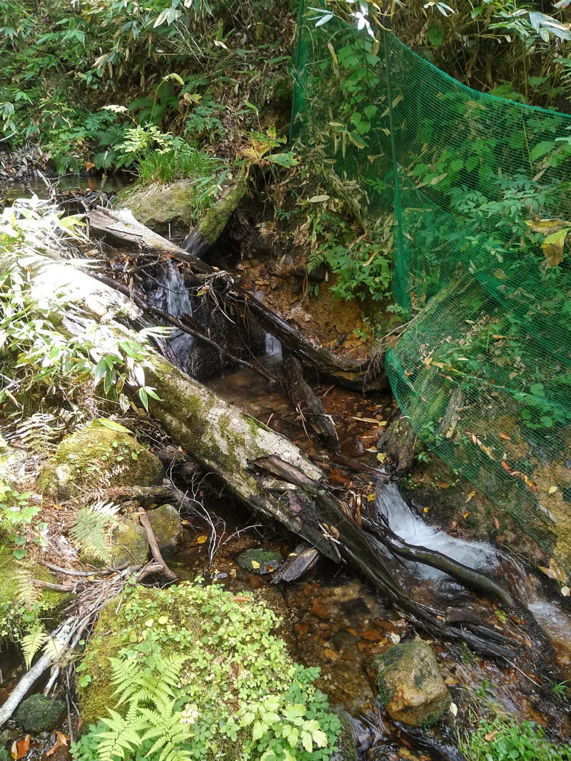 f:id:Aoituki:20210926235504j:plain