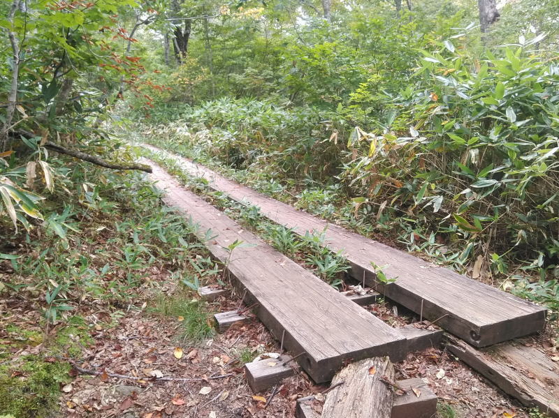 f:id:Aoituki:20210926235538j:plain