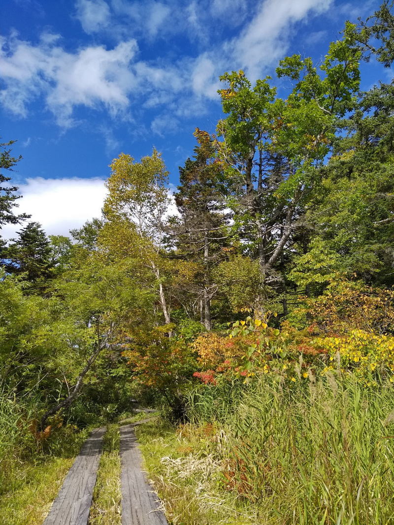 f:id:Aoituki:20210926235649j:plain