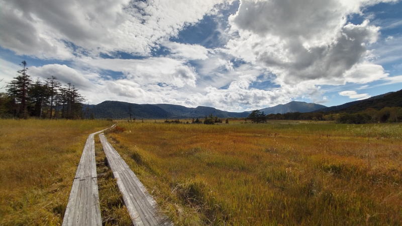 f:id:Aoituki:20210926235714j:plain