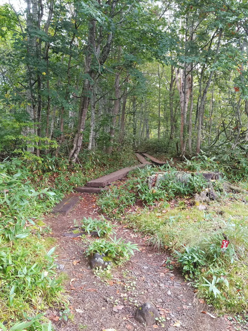 f:id:Aoituki:20210927000232j:plain