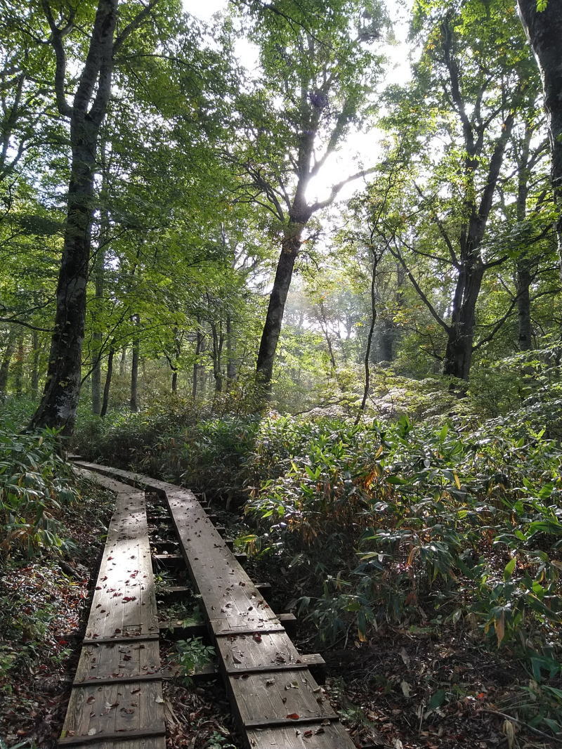 f:id:Aoituki:20210927000245j:plain