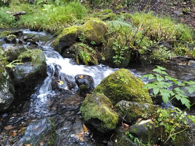 f:id:Aoituki:20210927000325j:plain