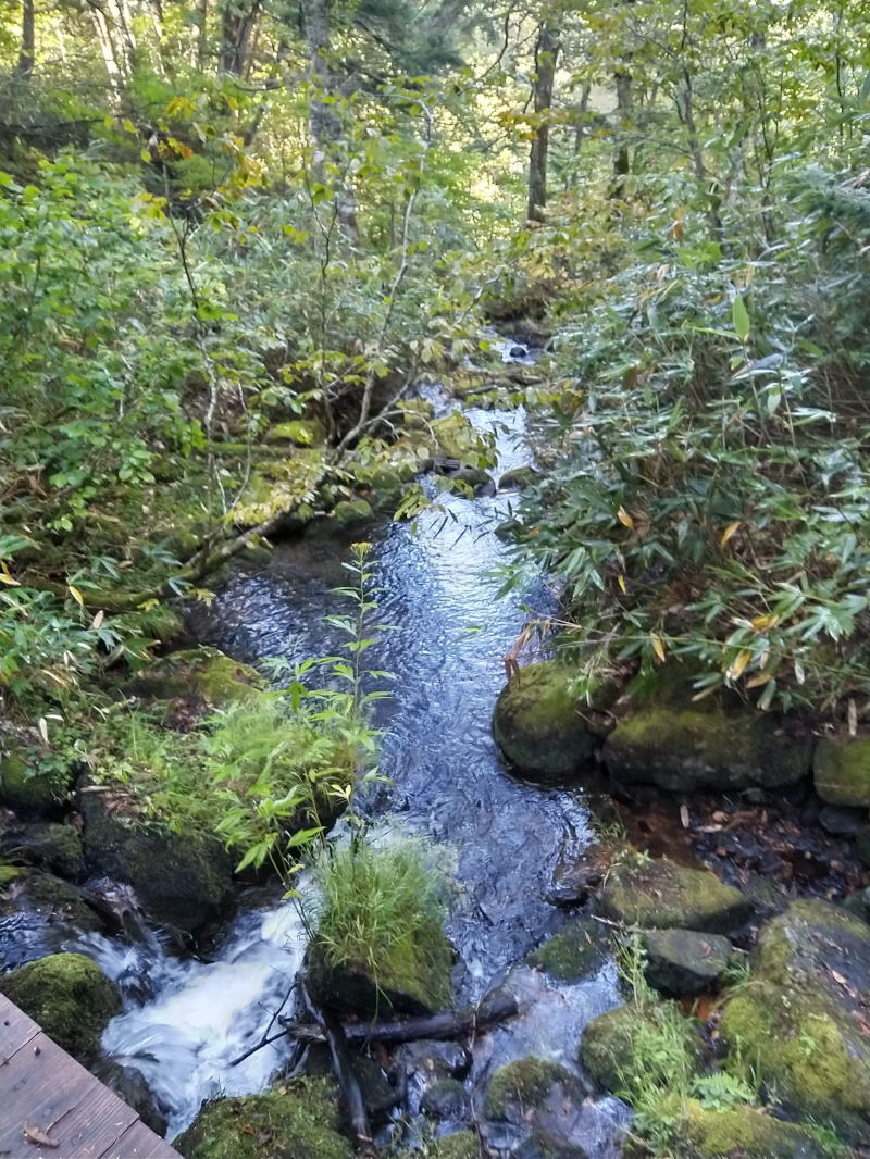 f:id:Aoituki:20210927000350j:plain