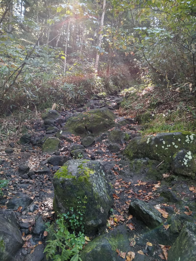 f:id:Aoituki:20210927000404j:plain