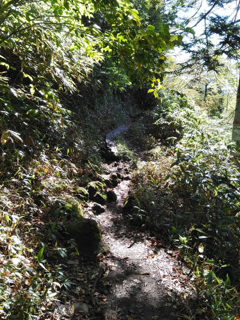 f:id:Aoituki:20210927000424j:plain