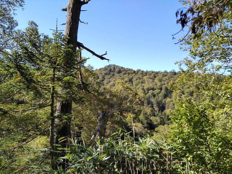 f:id:Aoituki:20210927000442j:plain