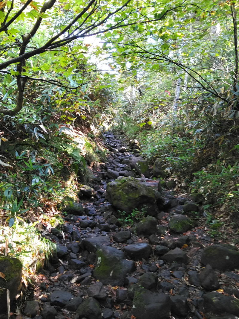 f:id:Aoituki:20210927000455j:plain