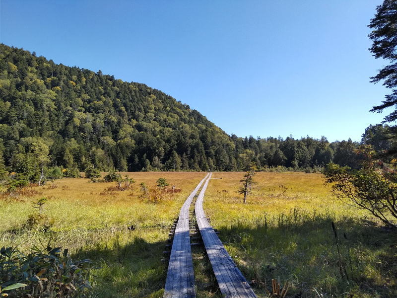 f:id:Aoituki:20210927000507j:plain