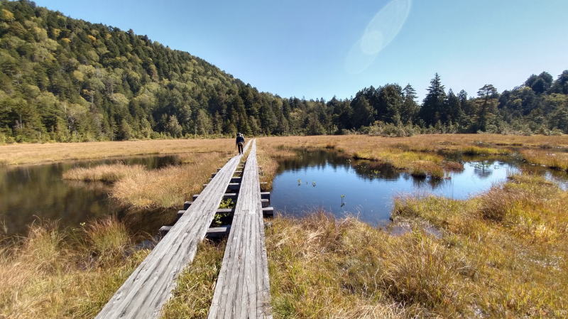 f:id:Aoituki:20210927000519j:plain