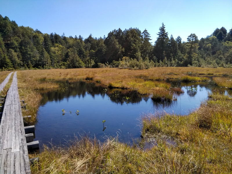 f:id:Aoituki:20210927000534j:plain