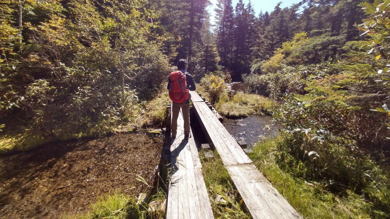 f:id:Aoituki:20210927000547j:plain