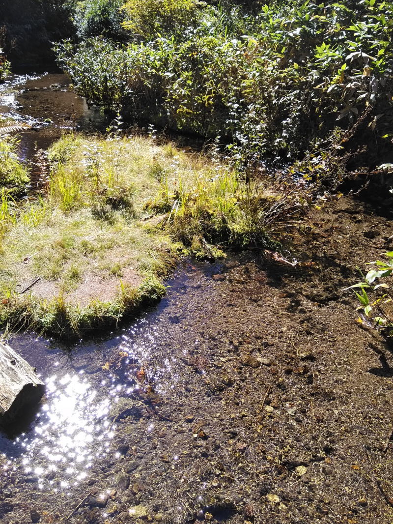 f:id:Aoituki:20210927000559j:plain