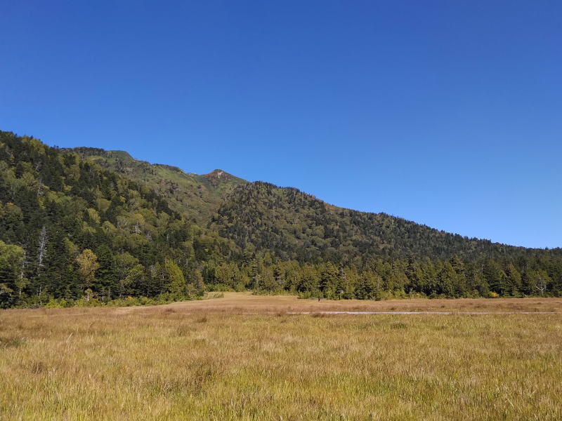 f:id:Aoituki:20210927000642j:plain